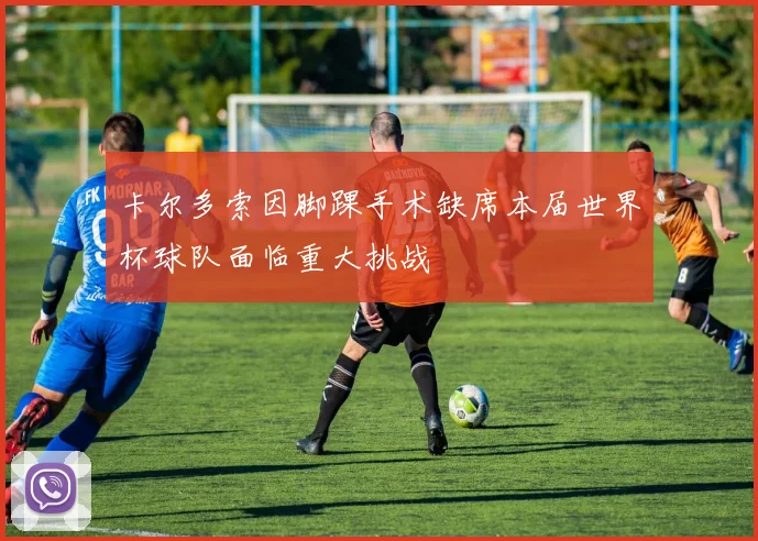 卡尔多索因脚踝手术缺席本届世界杯球队面临重大挑战