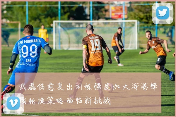 武磊伤愈复出训练强度加大海港锋线轮换策略面临新挑战