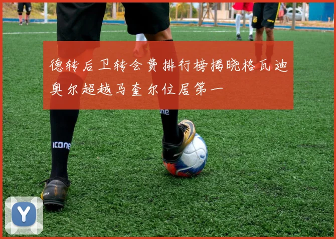 德转后卫转会费排行榜揭晓格瓦迪奥尔超越马奎尔位居第一